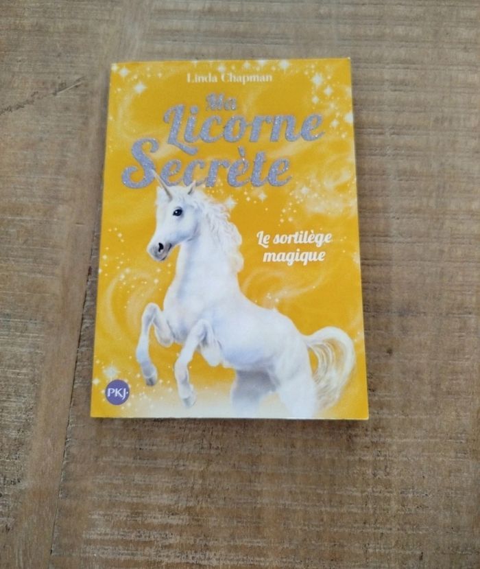 Ma licorne secrète - photo numéro 1