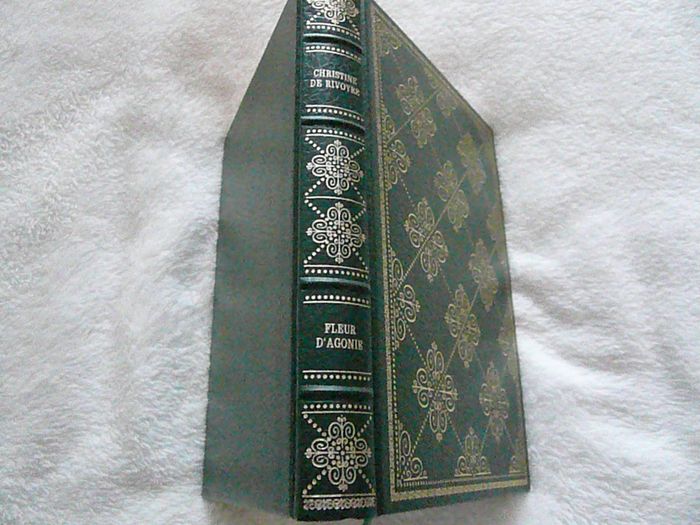 Livre de Christine Dehyvore « Fleur d’agonie »