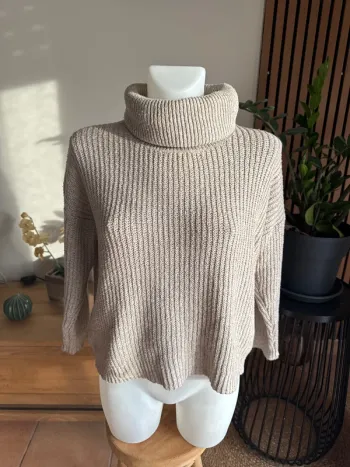 Pull col roulé oversize