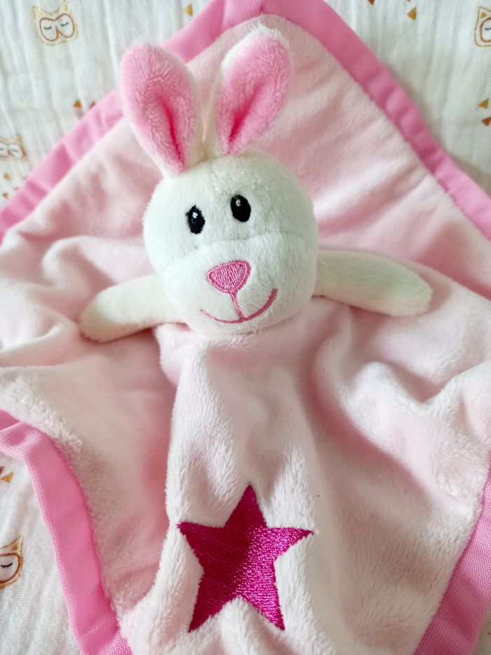 Doudou lapin Zeeman - photo numéro 2