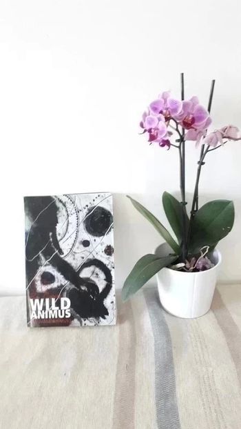 Roman Rich Shapero : Wild Animus