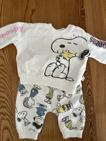 Ensemble snoopy