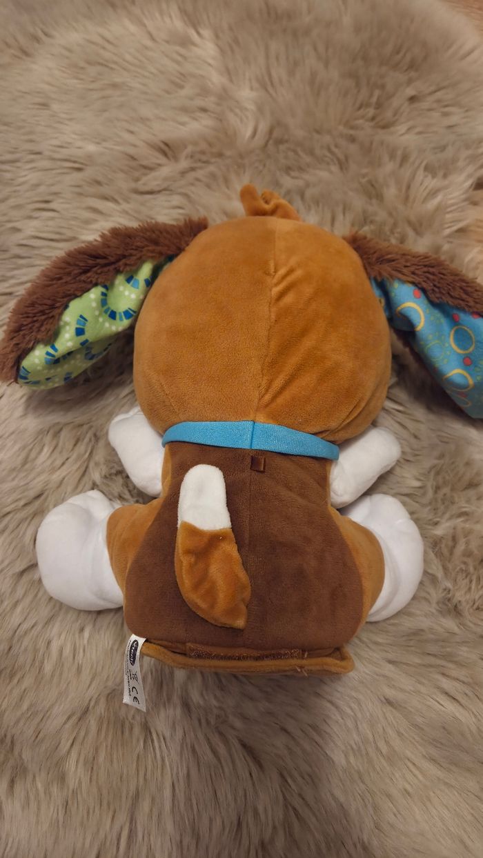 Le chien - photo numéro 2