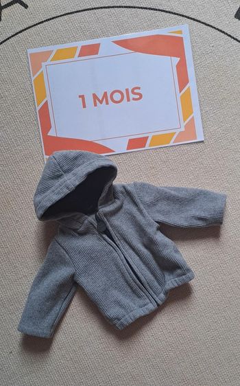 Veste a capuche