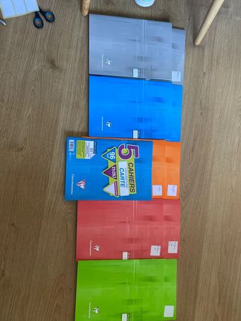 10 cahiers 21 X 29,7 Neuf