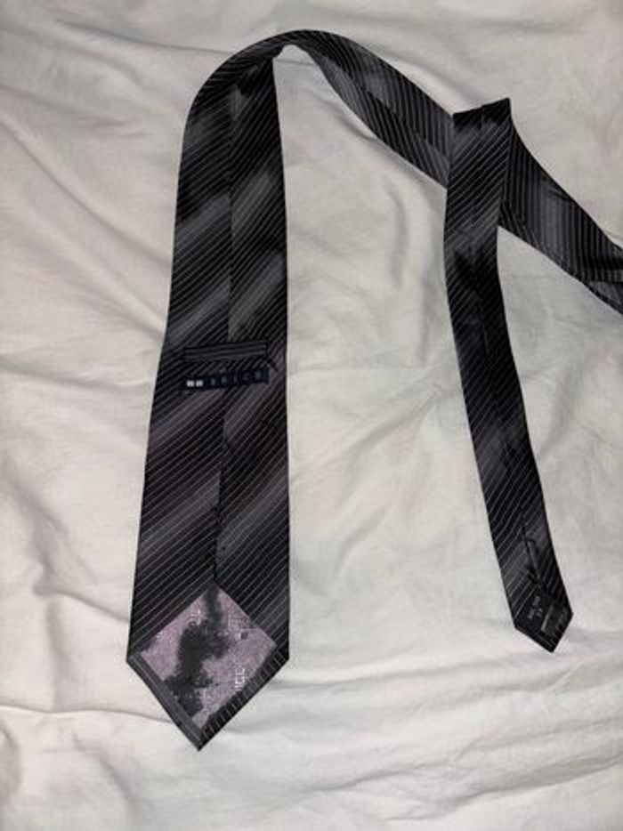 Cravate Brice - photo numéro 2