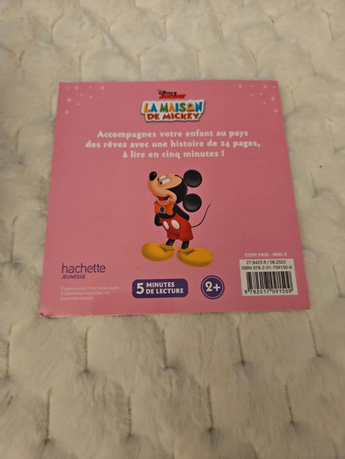 Livre disney minnie - photo numéro 2