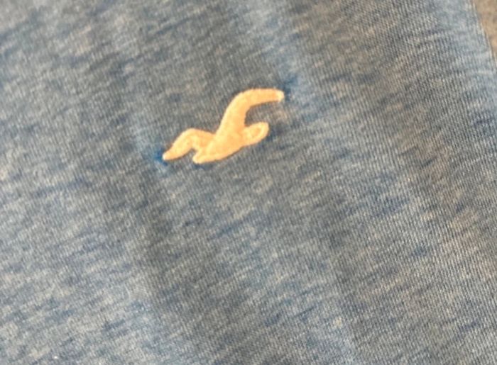 Tee shirt hollister - photo numéro 2