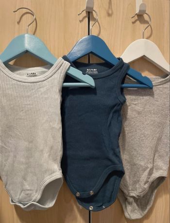 Lot 3 bodies 