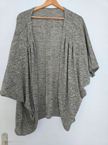 Gilet gris, manches chauve souris
