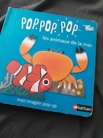 Livre pop pop pop