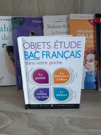 Les objets d'études du bac de français