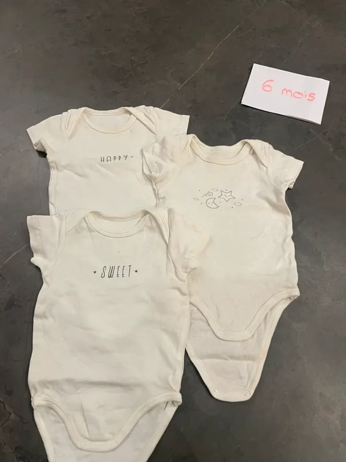 Lot 3 bodies