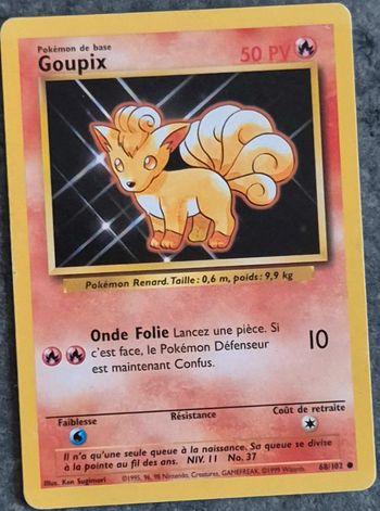 Goupix set de base
