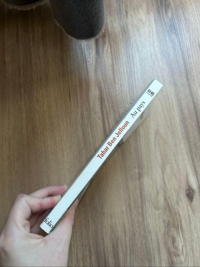 Livre de Tahar Ben Jelloun «Au pays» Folio - photo numéro 3