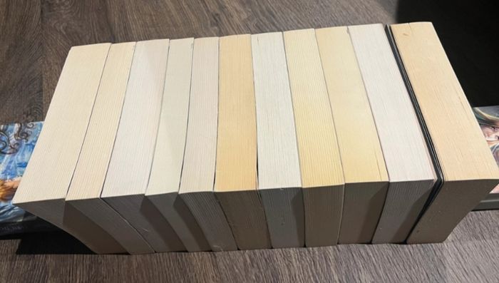 Romans Journal d'un Vampire tomes 1 à 11 Intégrale- L.J Smith Black Moon - photo numéro 9