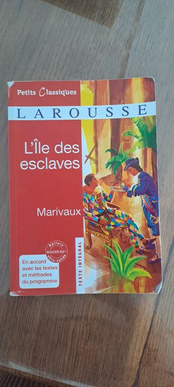 (Réduction) Livre L'île aux esclaves