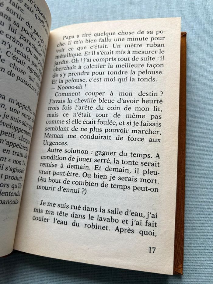 Défense d’entrer par la fenêtre - Florence parry heide - photo numéro 2