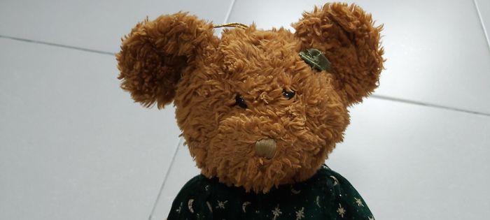 Ours en peluche - photo numéro 2