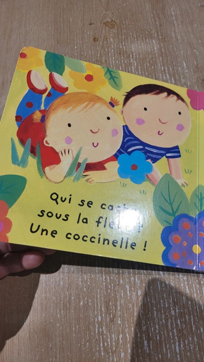 Livre à volets - photo numéro 2