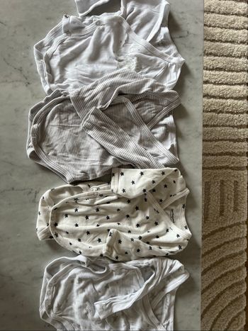 Lot 4 bodies