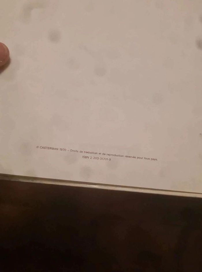 Lot 2 bd chevalier ardent - photo numéro 4