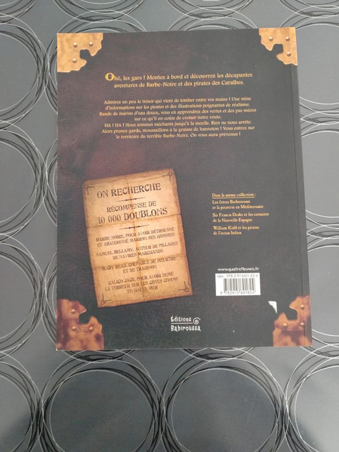 Livre enfant thème Pirates complètement neuf - photo numéro 2