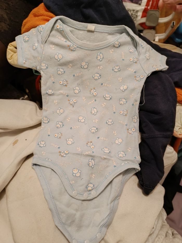 Lot de bodies - photo numéro 7