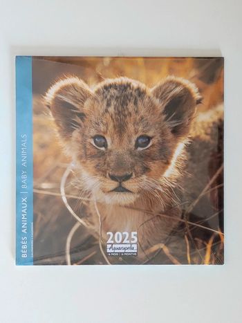 Calendrier 2025 bébé animaux 16 mois / Aquarupella
