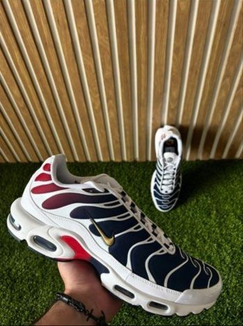 Nike tn psg 43