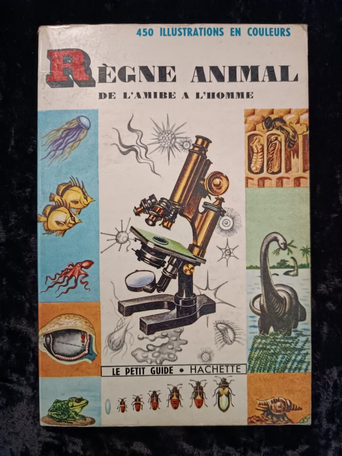 Petit guide règne animal Hachette - photo numéro 2