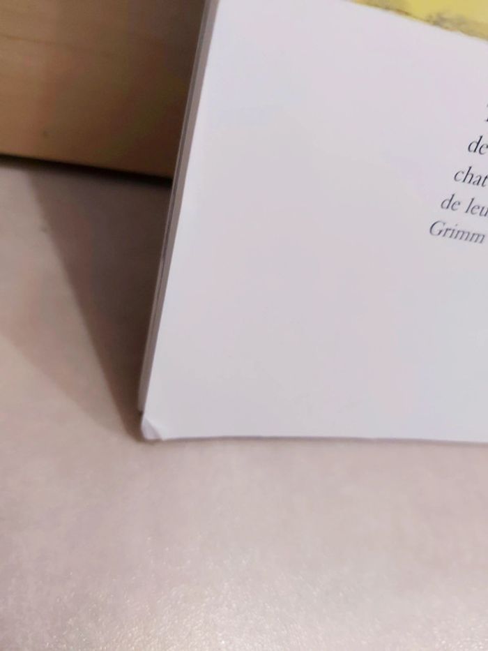 🌺 Livre (école des loisirs) : Les quatre musiciens de Brême - photo numéro 7