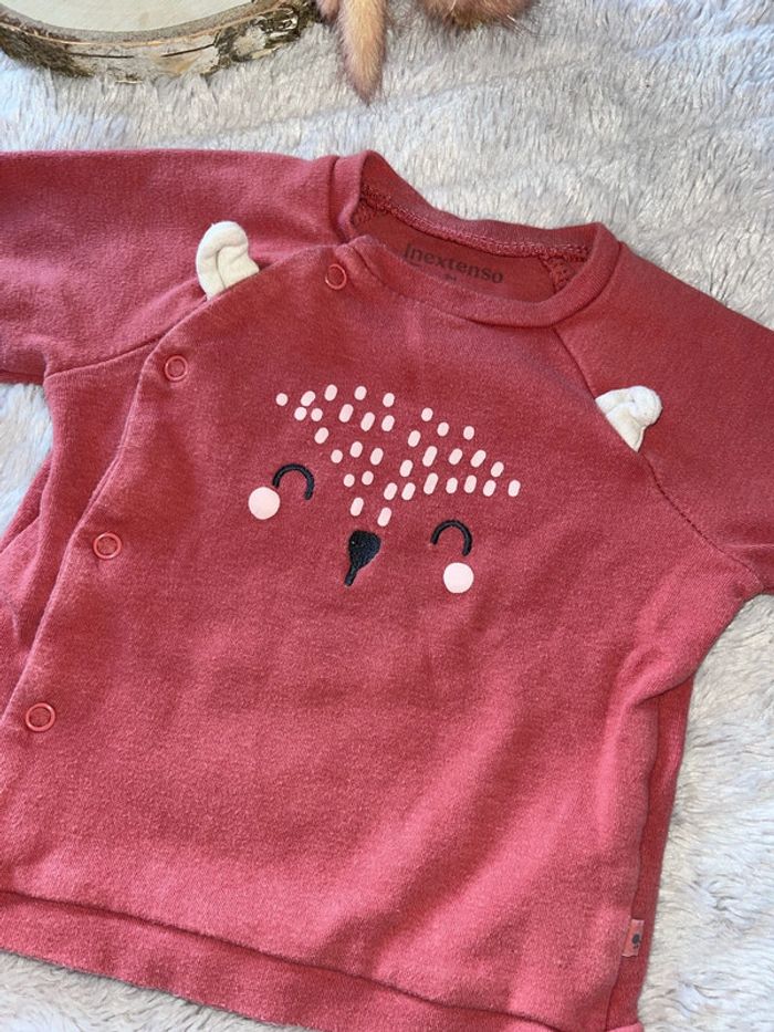 Pull in extenso 9 mois - photo numéro 5