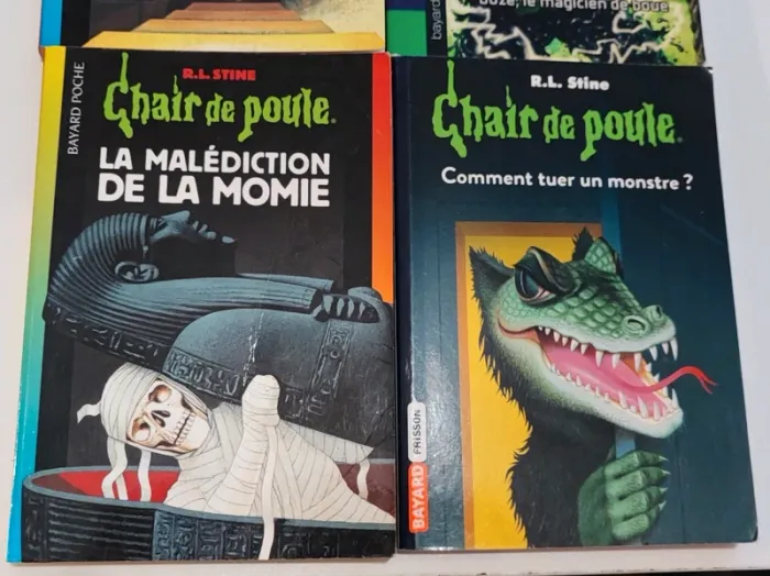Lot 4 livres chair de poule - photo numéro 2