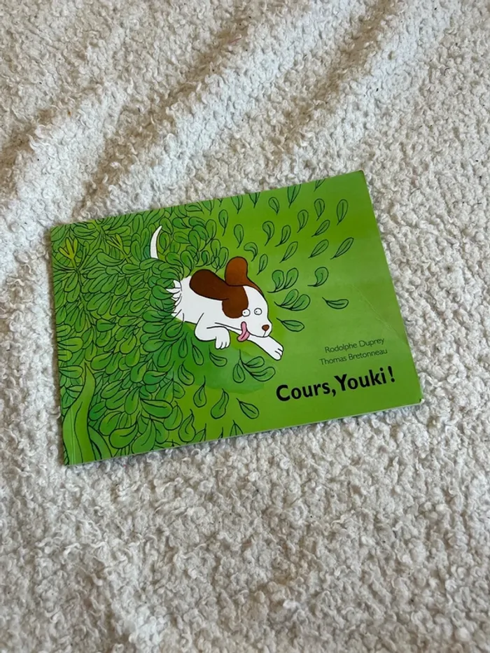 Cours, Youki