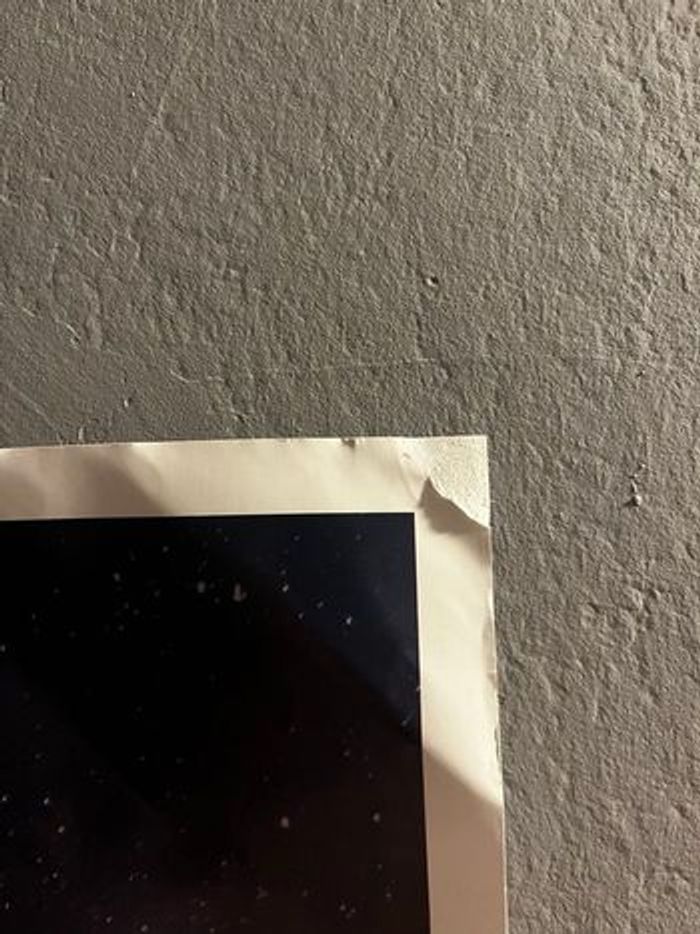 🎤 Poster Star Academy Tour 2024 – Grand format – Signé par tous les académiciens ⭐ - photo numéro 5