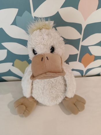 Peluche canard Anna club plush