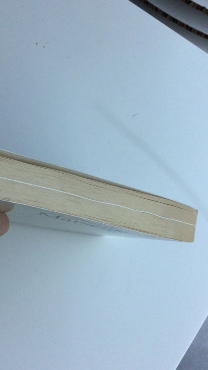 Livre histoire marseille - photo numéro 5