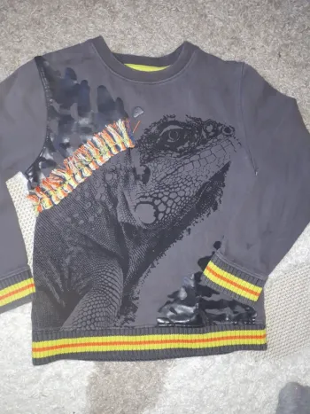 Pull Sergent Major caméléon