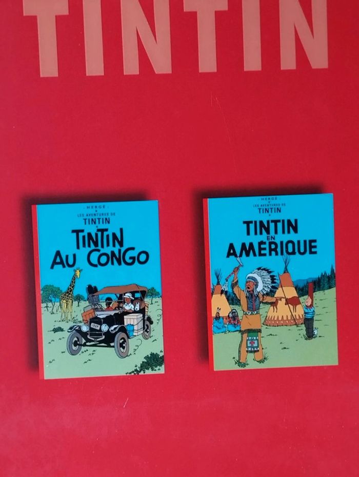 Les aventures de Tintin club France loisirs 2007 Casterman - photo numéro 2