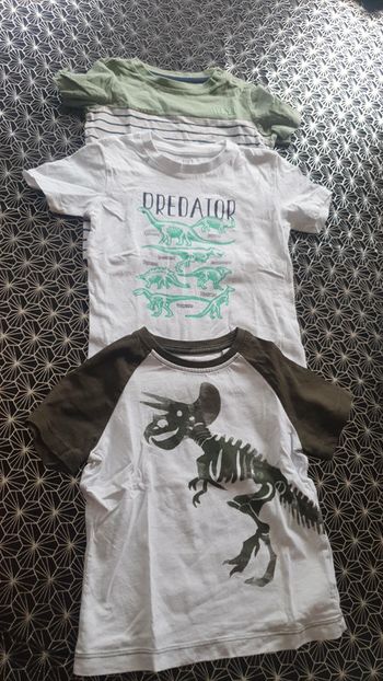 Lot t shirt dinausores 3 ans