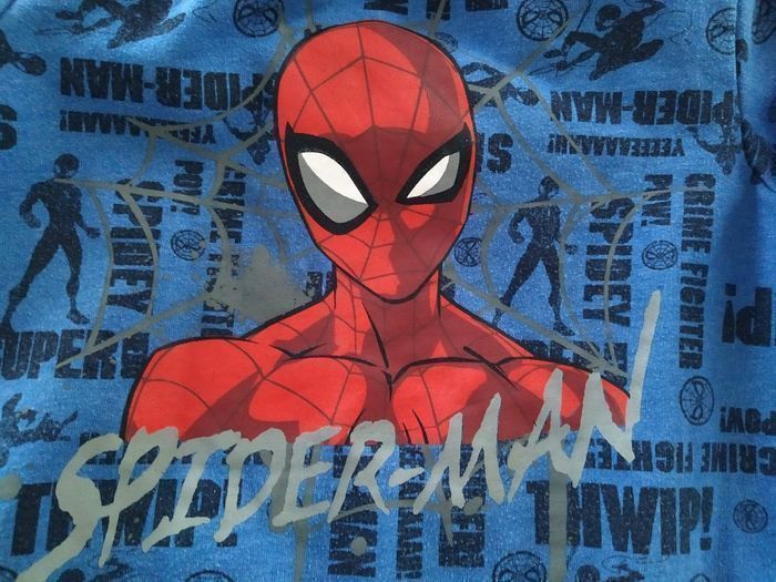 Sweat Spider-Man 3 ans - photo numéro 2