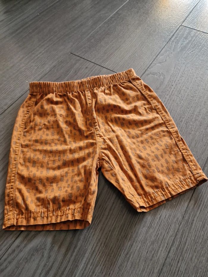 Shorts New Collection