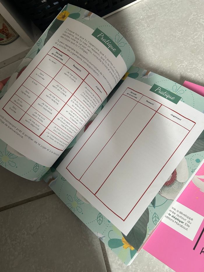 Hack ton mental et hack tes émotions - photo numéro 3