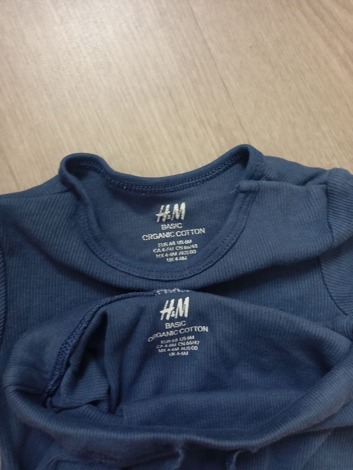 Ensemble short bodies