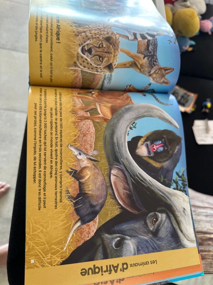 Livre les animaux du monde - photo numéro 5