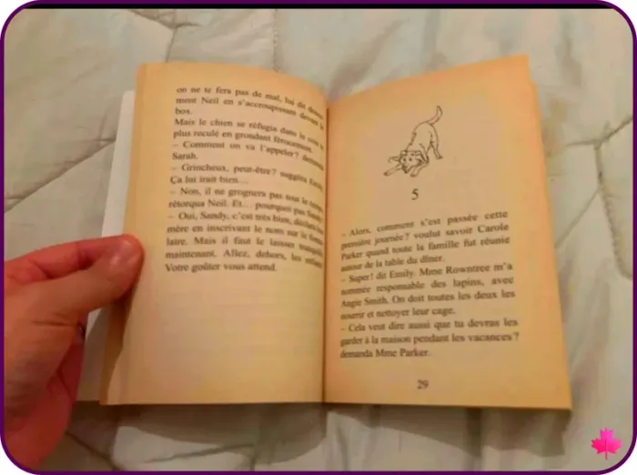 🌷Dotty fait des bêtises L3🌷 - photo numéro 5