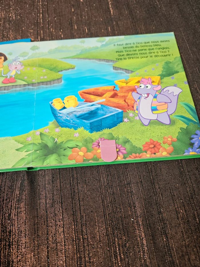 2 livres Dora - photo numéro 4