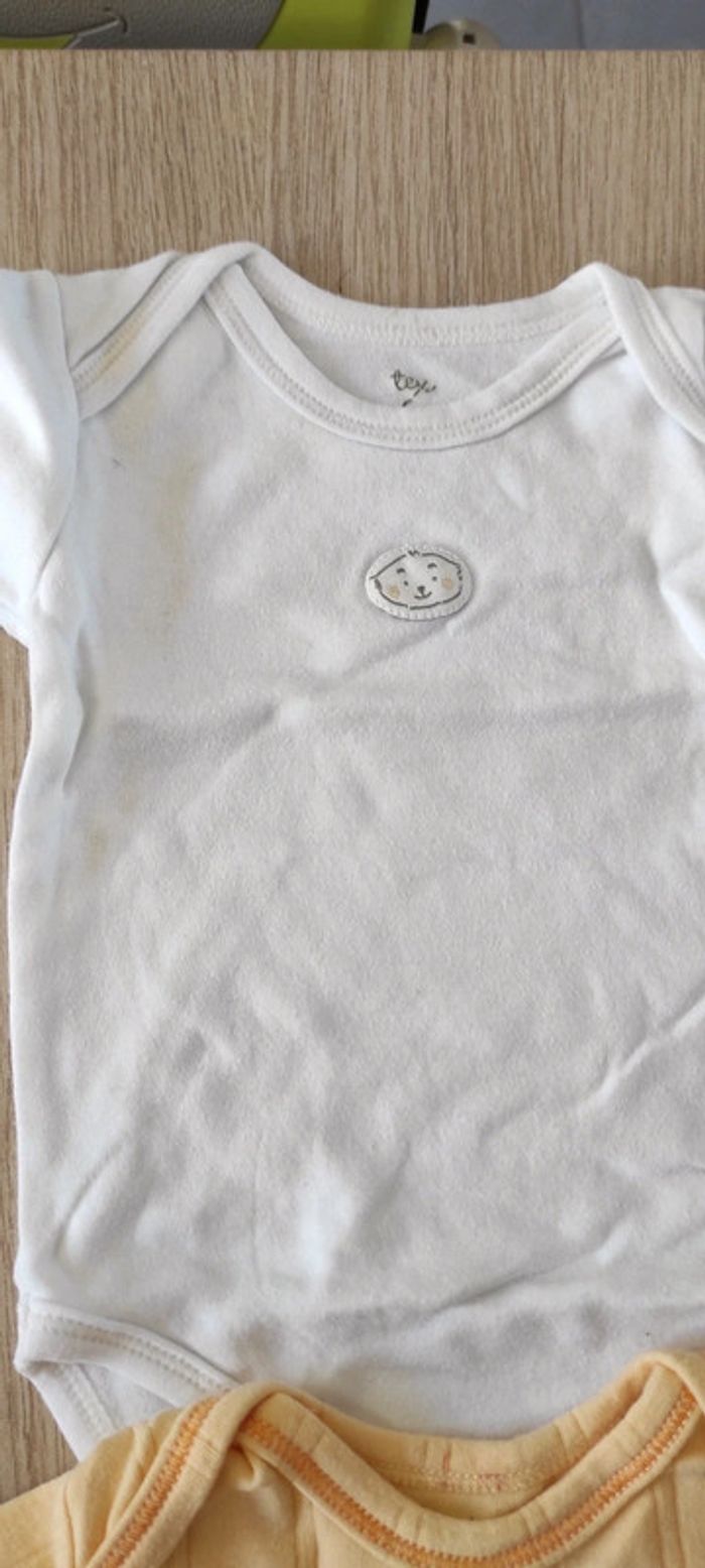 Lot bodies 6 mois - photo numéro 5