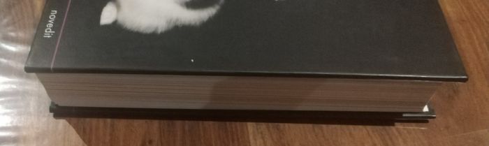 La grande encyclopédie des chats - photo numéro 5